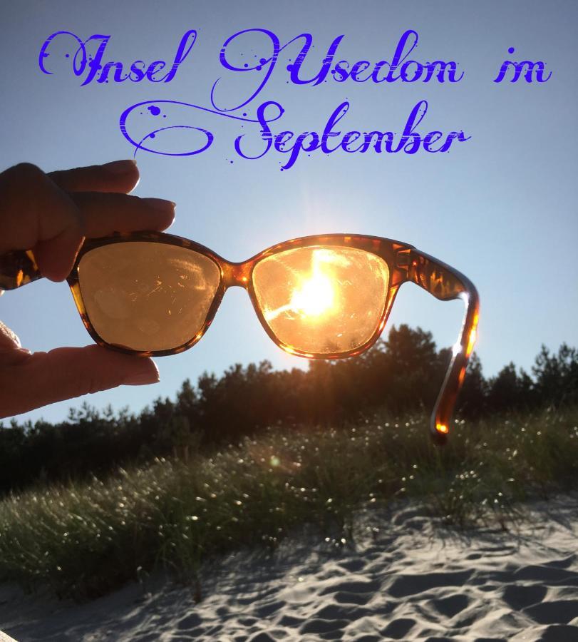 Mit Terrasse - Insel Usedom Trassenheide