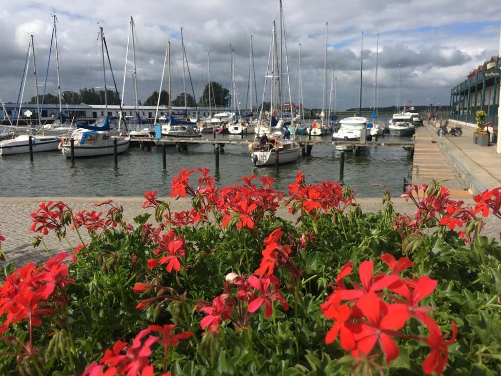 Mit Terrasse - Insel Usedom Trassenheide