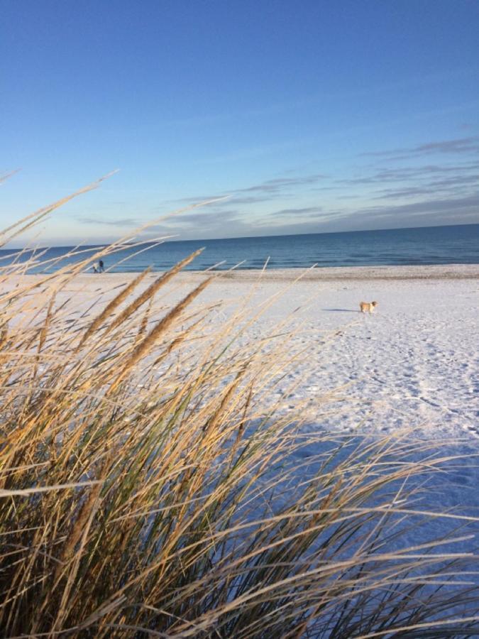 Mit Terrasse - Insel Usedom