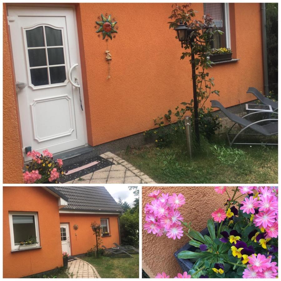 Holiday home Mit Terrasse - Insel Usedom