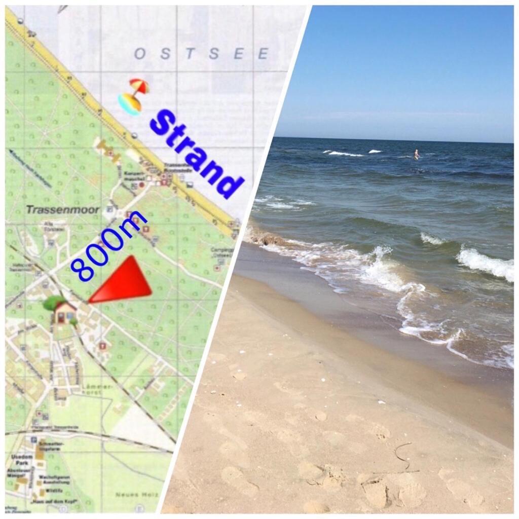 Mit Terrasse - Insel Usedom * Trassenheide